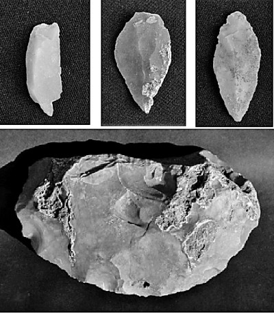     丹江口库区发现的燧石石器。李京亚摄