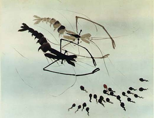  图源：《小蝌蚪找妈妈》剧照