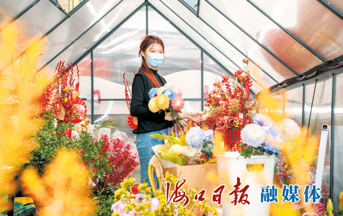 　　1月15日，怡和·湖城大境新春花市花团锦簇，引人驻足。海口日报融媒体记者 苏弼坤 摄