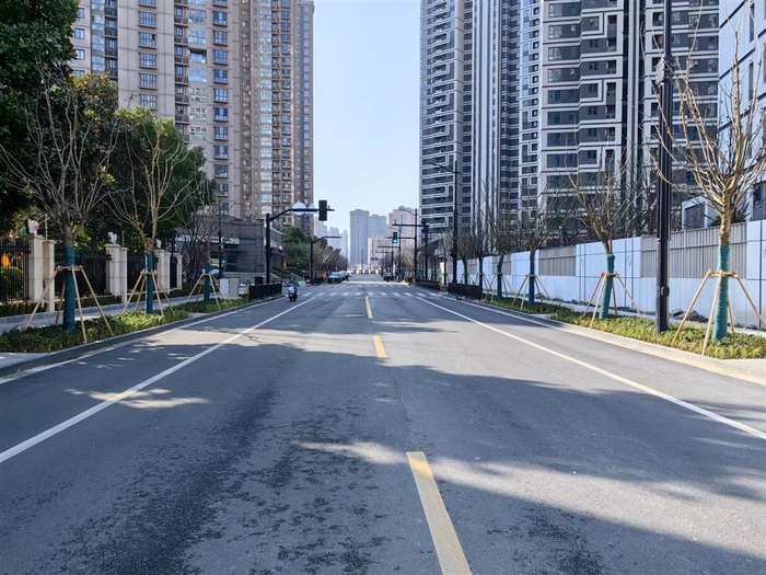 图片说明：重大工程项目东沙虹港路（龙钢摄）