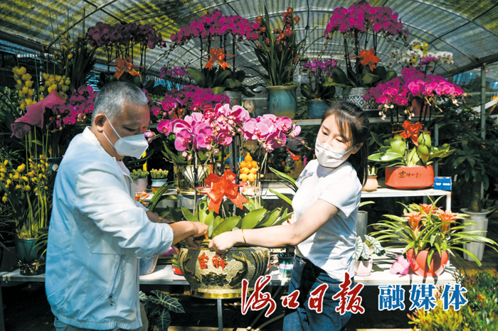 　　1月14日，市民在新埠岛花市选购鲜花迎接新年。海口日报融媒体记者 石中华 摄