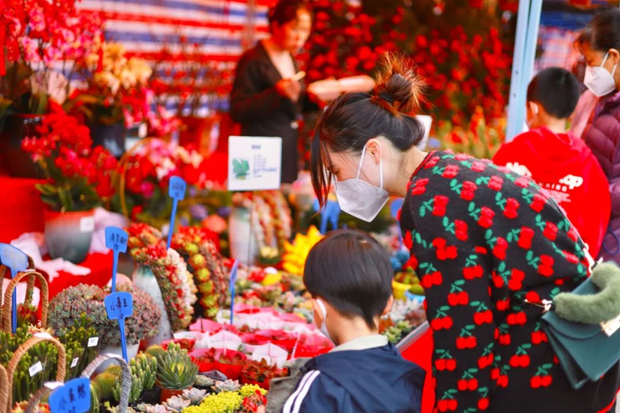 年货街上，市民带着孩子挑选年花。清远日报签约摄影师 杨晓蓉 摄