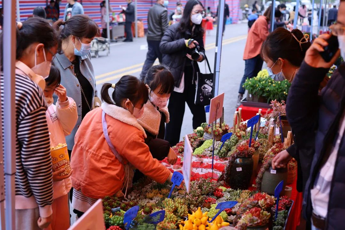 年货街上，市民带着孩子挑选年花。（通讯员供图）