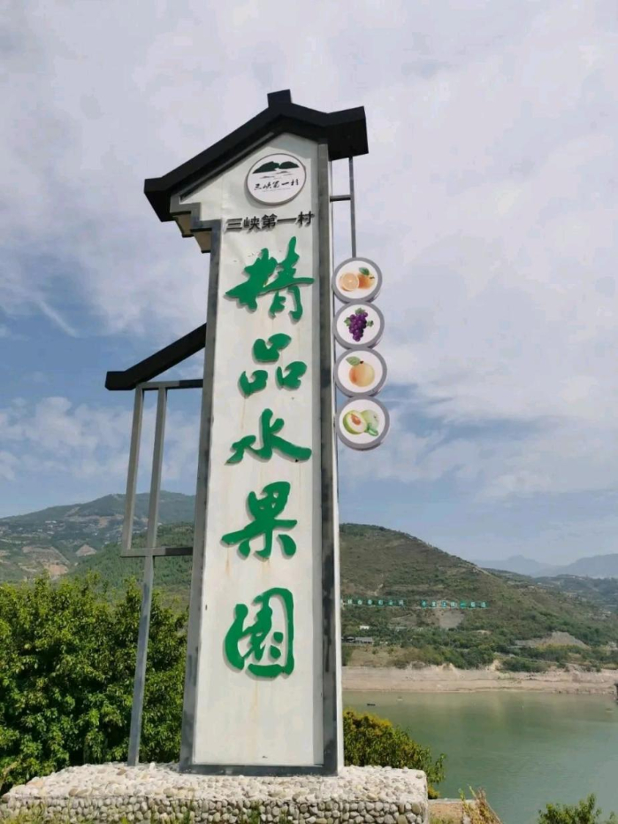 ▲三峡第一村的精品水果园摄影：孙钰芳