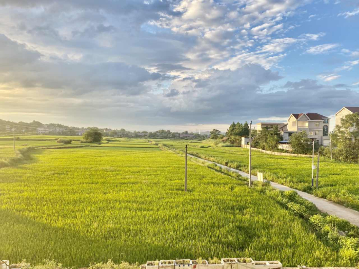 ▲万安田园风貌摄影：黄克瑶