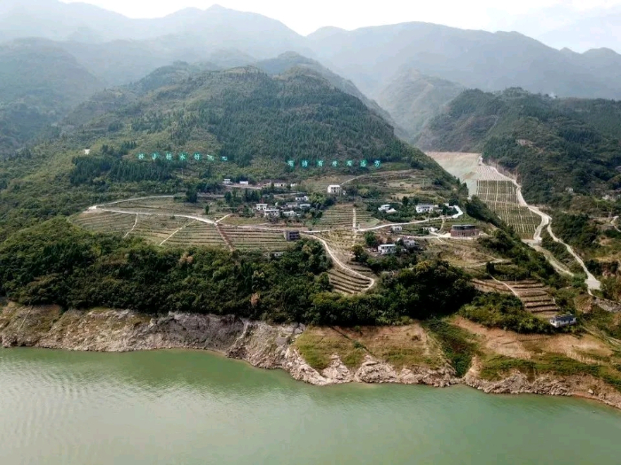 ▲三峡第一村航拍图摄影：陈旋
