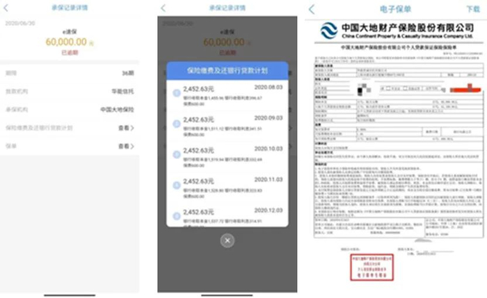 *王先生的还款明细情况及电子保单，图片由王先生提供