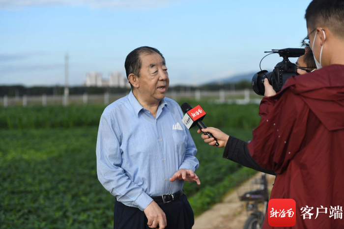 　　张孟臣接受新海南客户端、南海网、南国都市报记者采访。记者 沙晓峰 摄