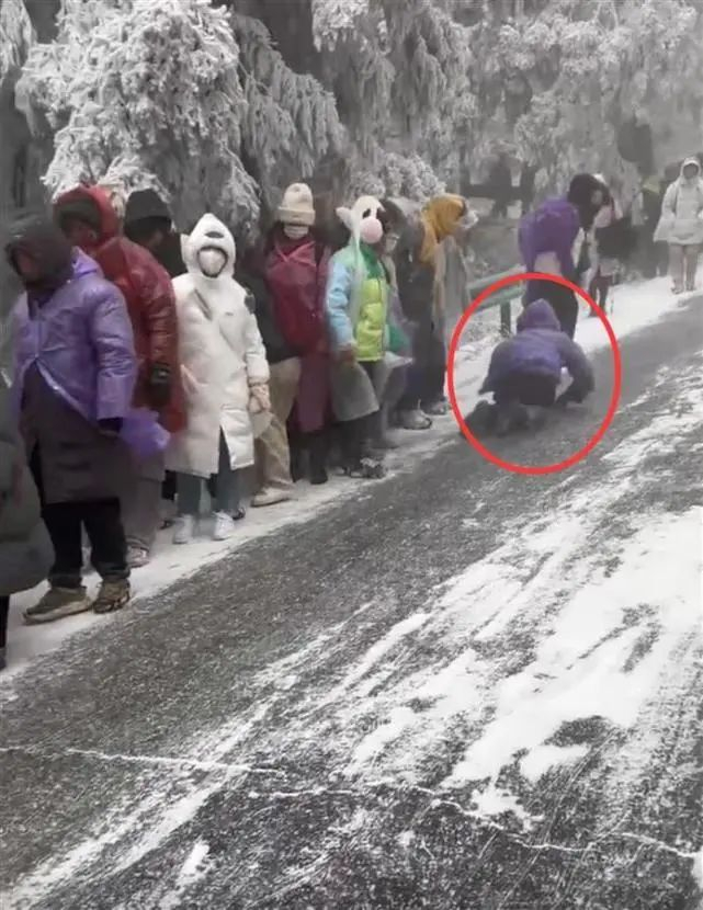 游客滑倒后一路溜滑（视频截图）
