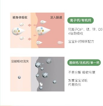 　　童年时光钙镁锌——科学配方
