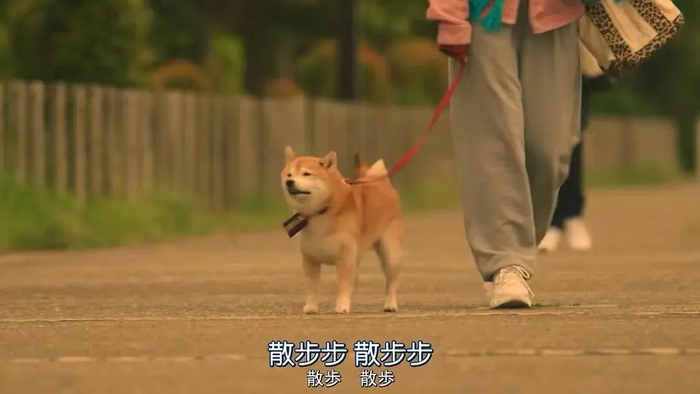 《难破MG5》剧照