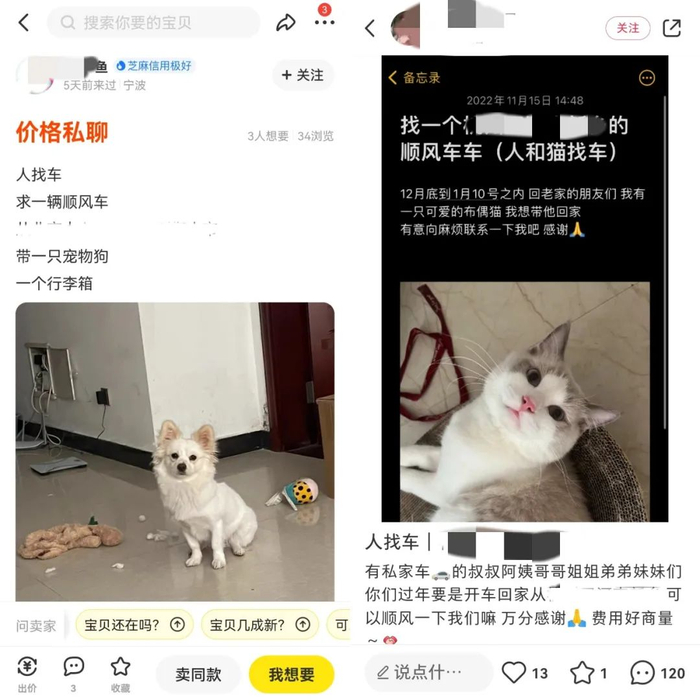 闲鱼和小红书上的“人找车”