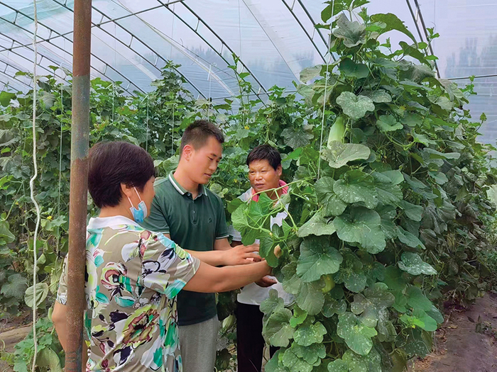 担任天津宝坻区史各庄镇朱杨庄村“一肩挑”的吴柏（中）与村民交流蔬菜种植技术 受访对象供图