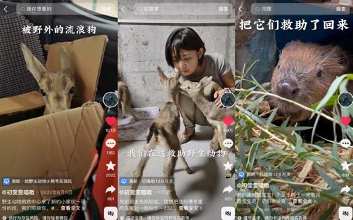 ▲初雯雯抖音账号截图/图源 抖音