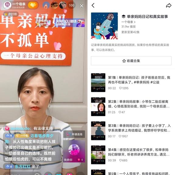 ▲公益组织“一个母亲”直播连麦截图/图源 抖音