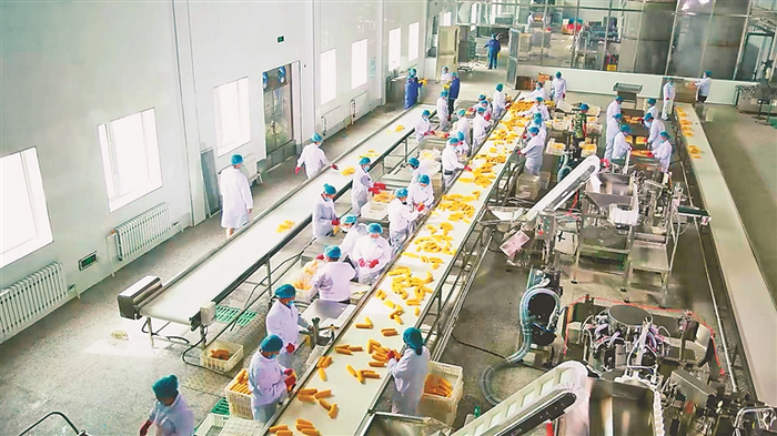 鲜食玉米生产线。图片均由青冈县委宣传部提供