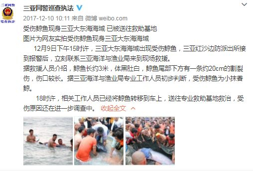 2017年三亚网警发布的搁浅鲸鱼救助情况