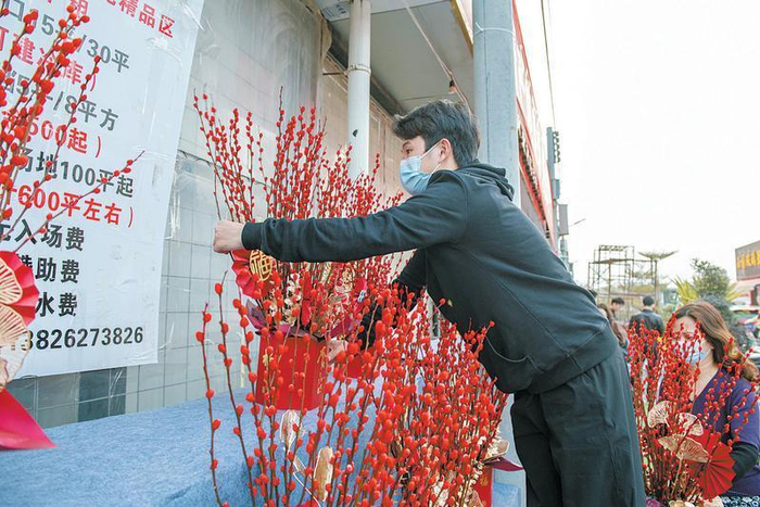 银柳——财源广进