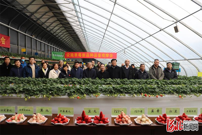 图为观摩现场。