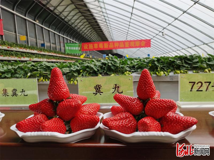 图为观摩现场。