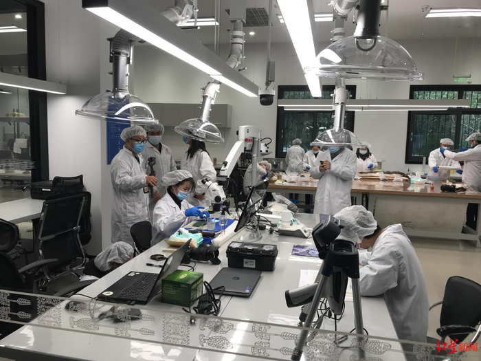 ↑三星堆博物馆开放式文物保护与修复馆