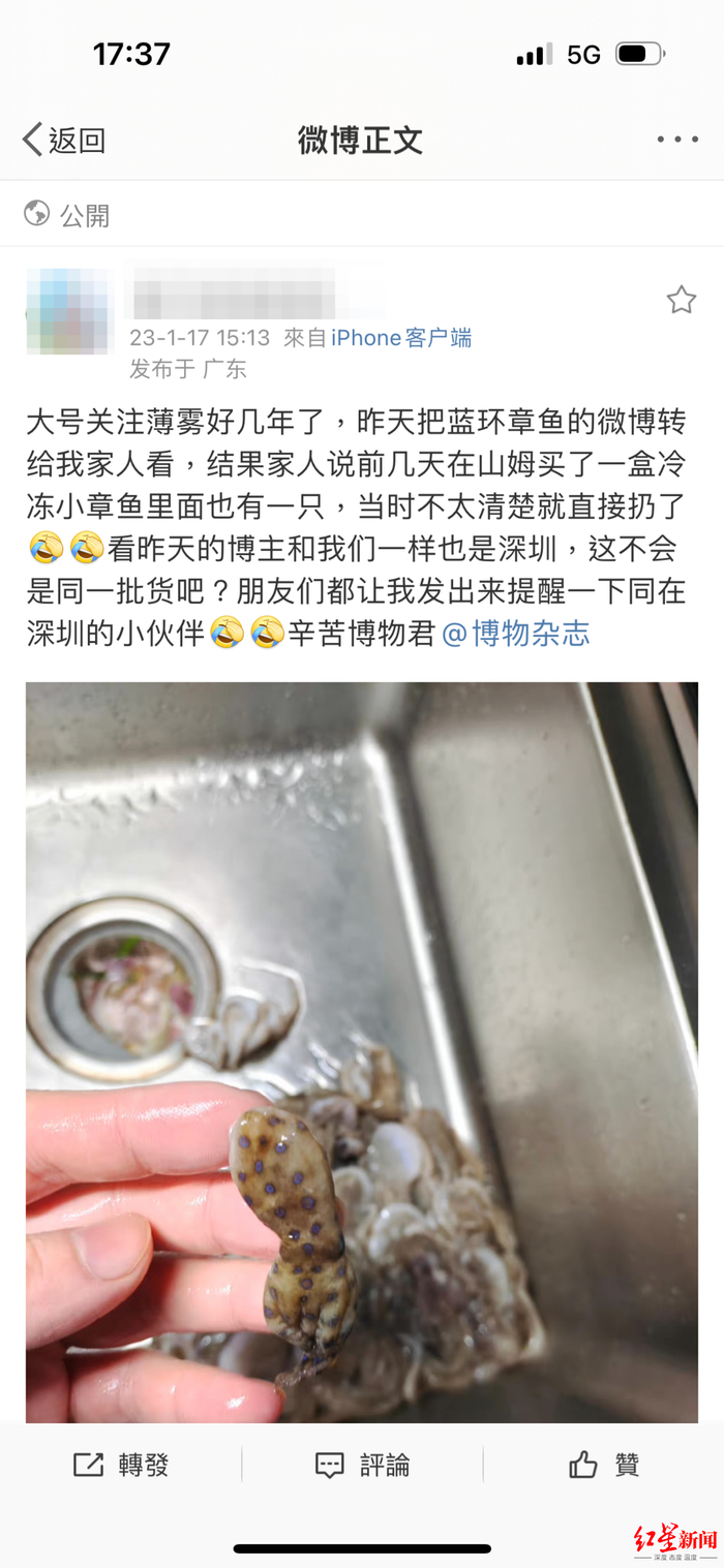 图片来源：红星新闻