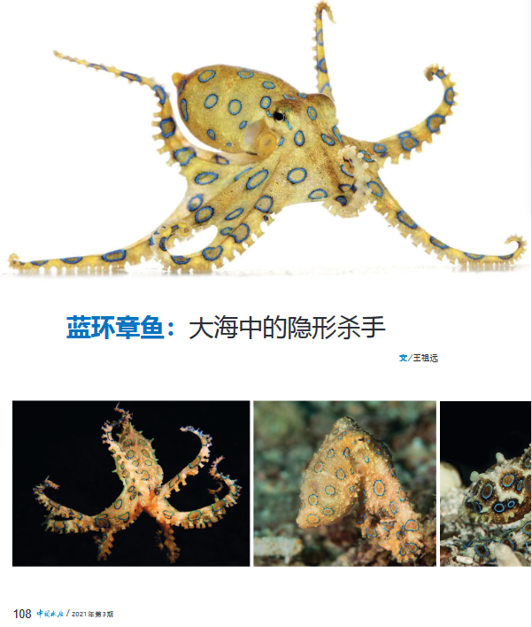 图片来源：资料图