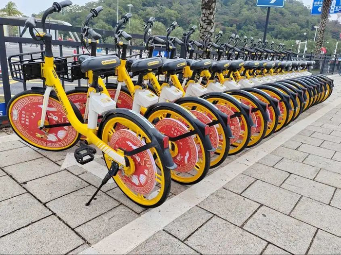 兔年定制款共享单车。康振华 通讯员白宾/摄