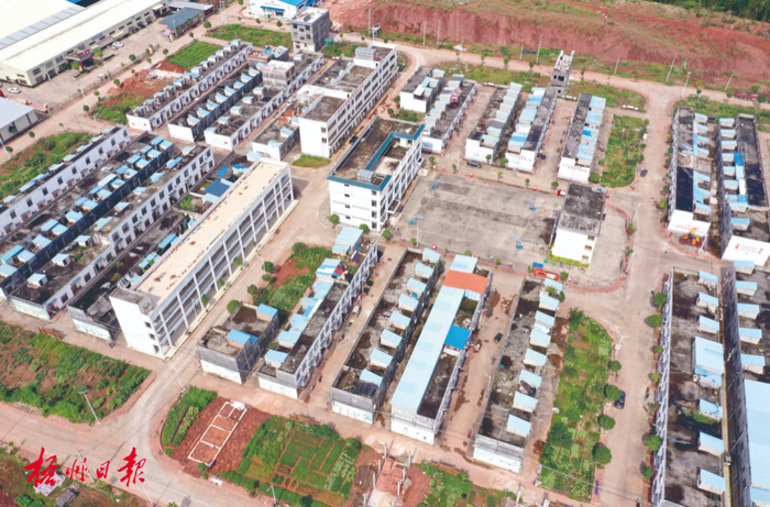 藤县太平镇易地搬迁安置点柴咀村白运新村  罗金霞 摄