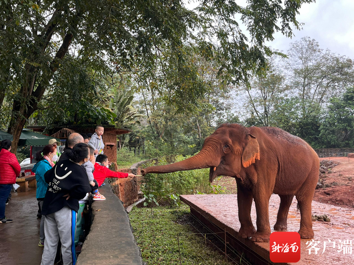 市民游客打卡海南热带野生动植物园。记者 丁文文 摄