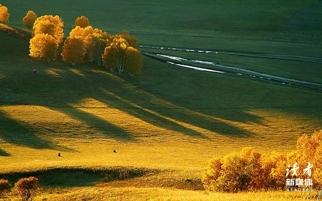 来源：全景视觉