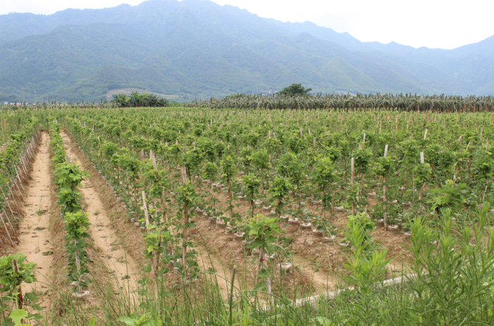 △图源 鼎湖发布