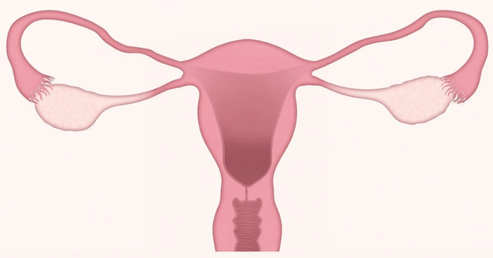 图片来源于Pixabay