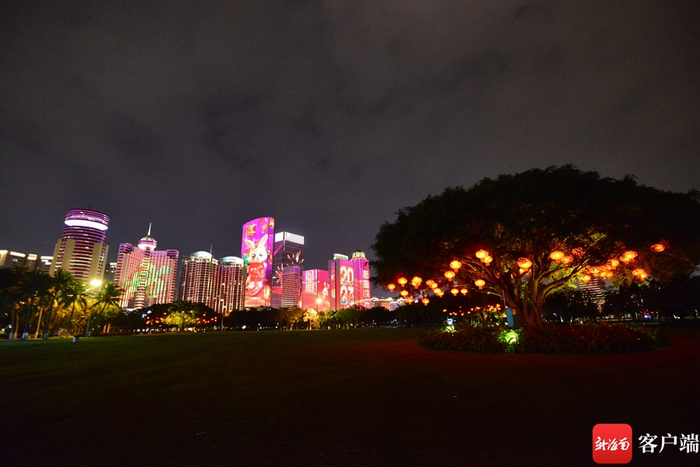 　　万绿园兔年主题灯光秀。记者 陈卫东摄