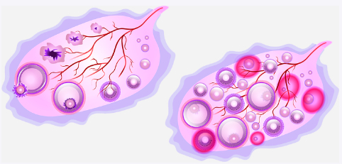 图片来源于Pixabay