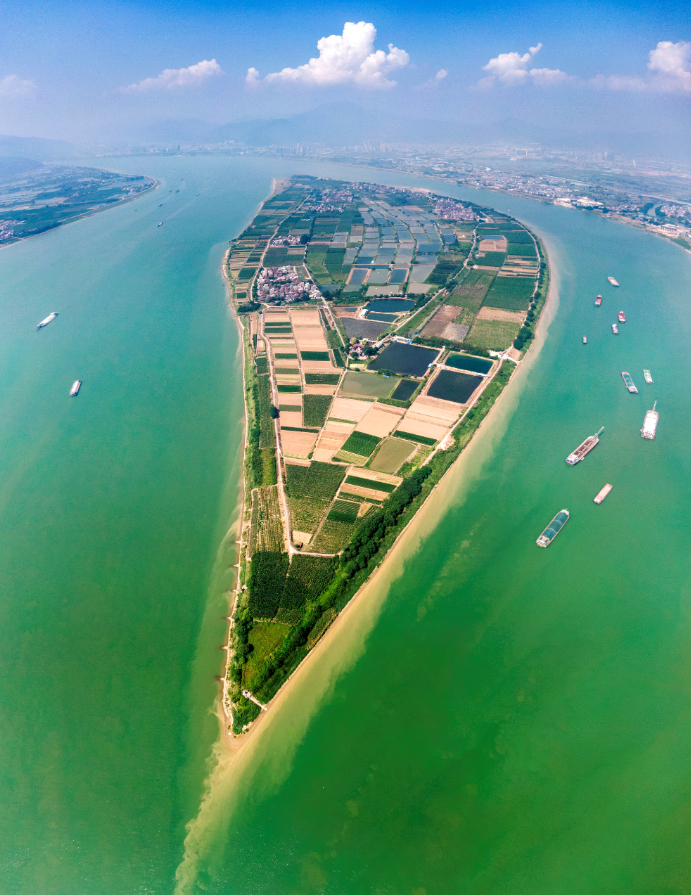 △西江日报记者 吴勇强 摄