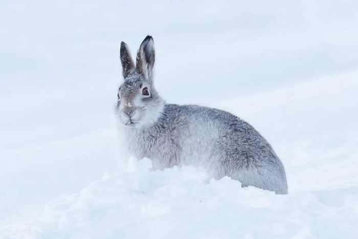 图源：图虫创意