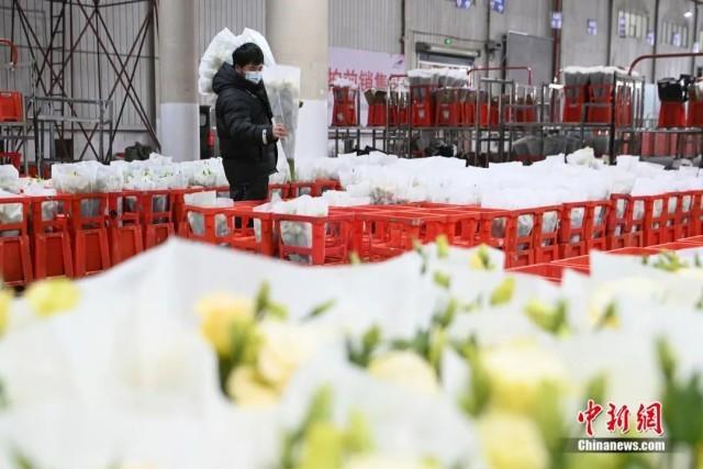 近日，昆明国际花卉拍卖交易中心有限公司交易运输仓库内，工作人员挑选鲜切花。中新社记者 李嘉娴 摄