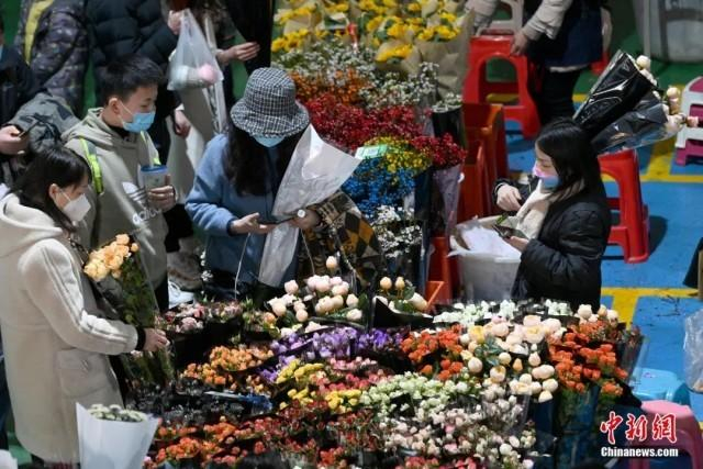 近日，昆明斗南花卉市场，顾客正在挑选心仪的年宵花。中新社记者 李嘉娴 摄