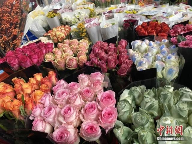 1月16日，斗南花卉市场内，月季花、玫瑰花品种繁多。刘宸羽 摄