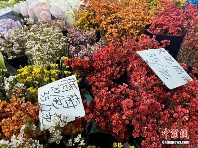 1月16日，斗南花卉市场内，澳洲腊梅价格亲民。刘宸羽 摄
