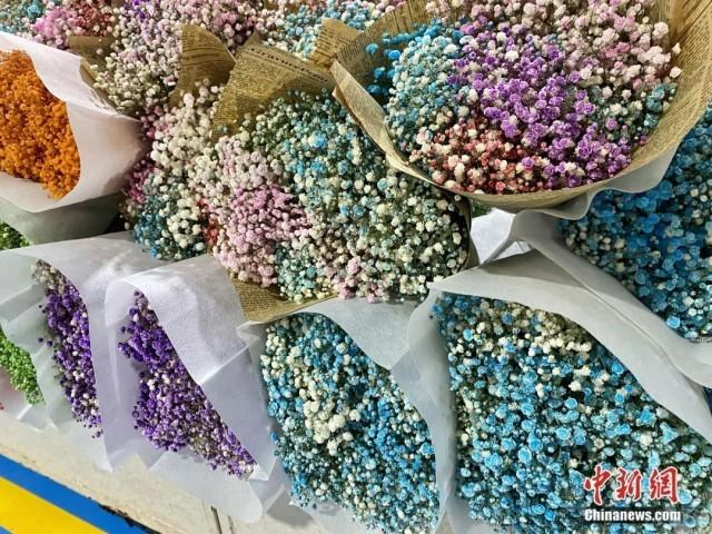 1月16日，斗南花卉市场内，各种草花依然是“白菜价”。刘宸羽 摄