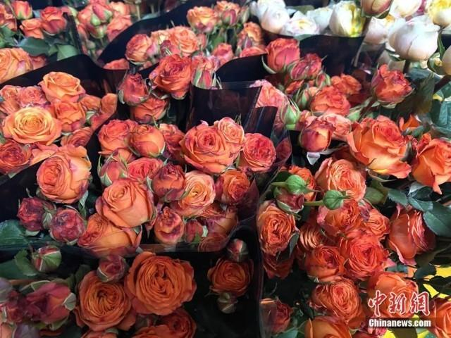 1月16日，斗南花卉市场内，月季花、玫瑰花品种繁多。刘宸羽 摄