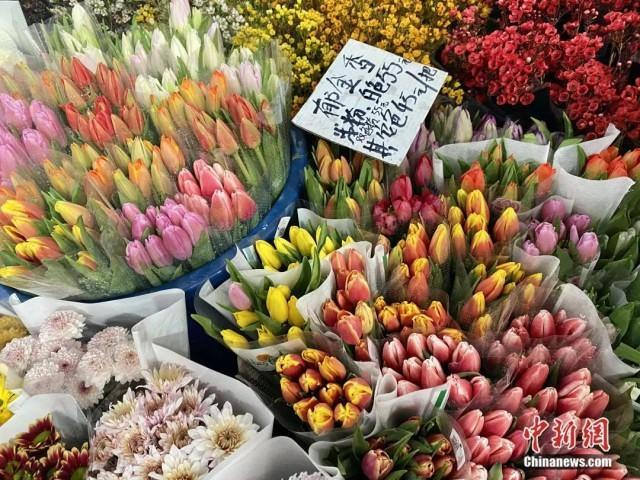 1月16日，斗南花卉市场内，郁金香品种繁多。刘宸羽 摄