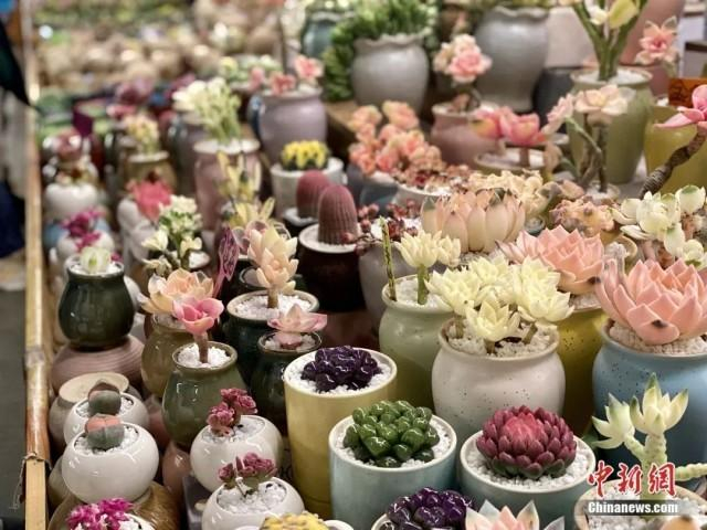 1月16日，斗南花卉市场内，各种多肉植物价格亲民。刘宸羽 摄
