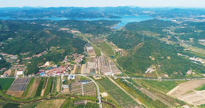 　　东港市赤榆村地处北纬39度农作物生长黄金带，为草莓生长提供了得天独厚的自然条件。受访者供图