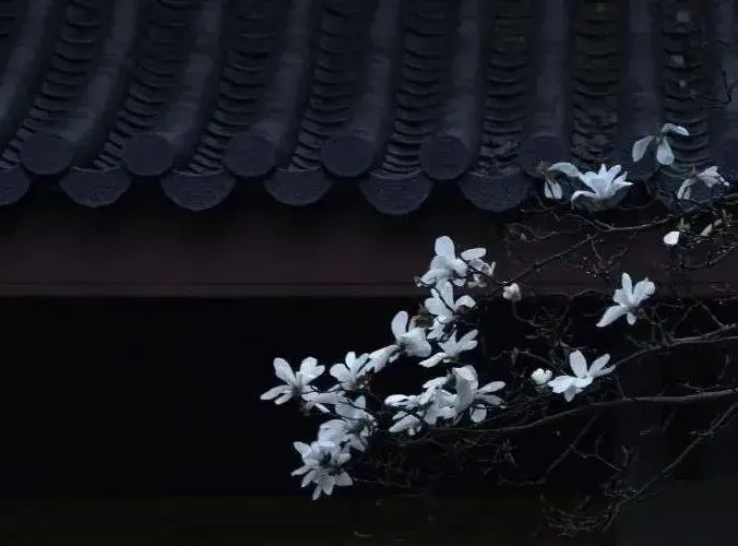 △ 图片来源：微博@灵隐寺