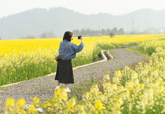 2019年3月19日，游人在建德下涯镇江畔的油菜花海中游玩。新华社记者 翁忻旸 摄