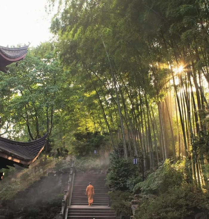 △ 图片来源：微博@灵隐寺