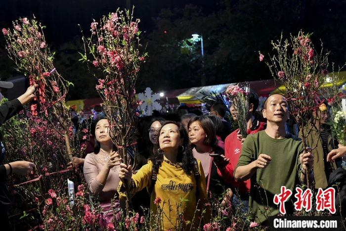 2019年2月，市民在广州天河花市选购迎春花卉。陈骥旻 摄